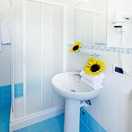 Hotel Alex 3*