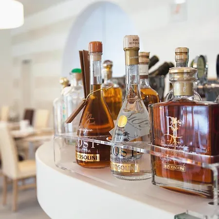 亚历克斯酒店 酒店 利尼亚诺萨比亚多罗