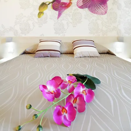 Alex Lignano Sabbiadoro