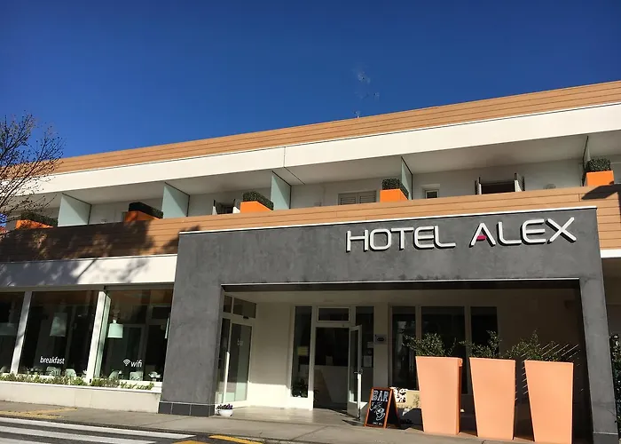 Hotel Alex 3*